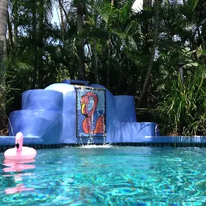 Pink Flamingo **** Port Douglas